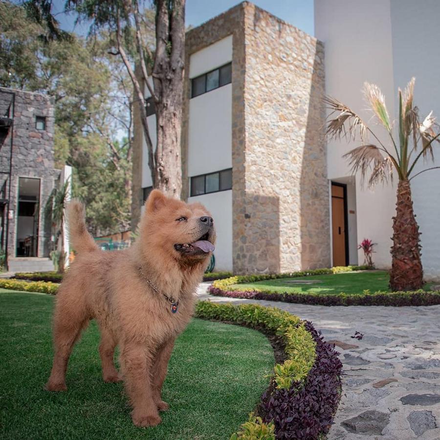 Hotel Boutique Camino Del Bosque By Rotamundos Cholula Buitenkant foto