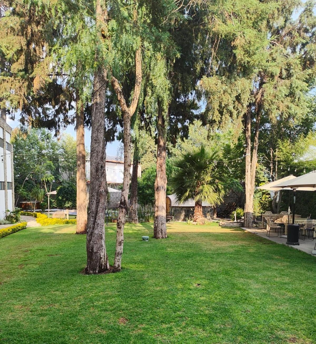 Hotel Boutique Camino Del Bosque By Rotamundos Cholula Buitenkant foto